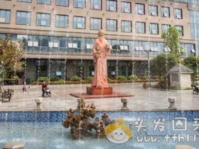 【回忆录】本人脂溢性脱发病症的确定过程