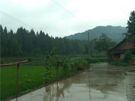 记2018年端午节之前的一天