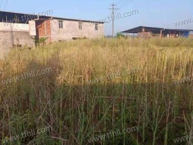 5月开始,夏天就真的开始了,我已经穿上短裤了