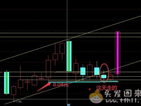 新手菜鸟炒股票的第二只涨停板——振华股份