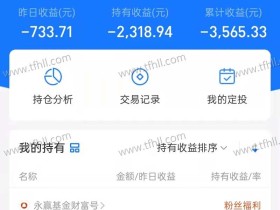 毫不夸张地说,我进入股市(基金)以来,最黑暗的一天!!