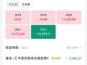基金创新低,是真的亏麻了,我准备向纯股票转移