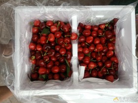 朋友给我寄来了一大箱车厘子