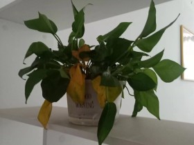 过完35岁生日,我又独自踏上了悟道之路