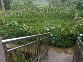 久违的感冒,真难受得一批