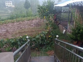 今天早上下了一场大雨,降温了,这之后应该有一些秋意了吧