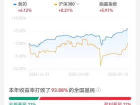 基金账户十三连红,想回本还是得靠美股啊