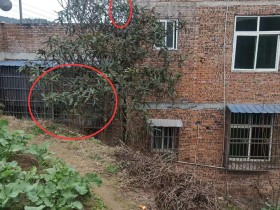 最害怕的一天!毫不夸张,说是肝胆俱裂也不为过