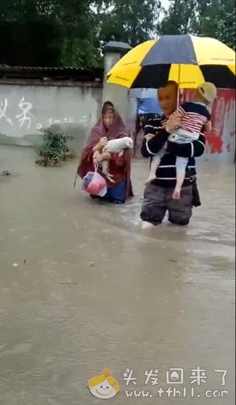 最近雨水比较多，成都很多地方都被淹了图片 No.1