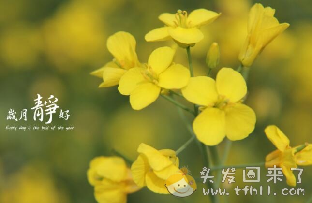 开始使用第二瓶生发药酒，走走亲戚图片 No.2