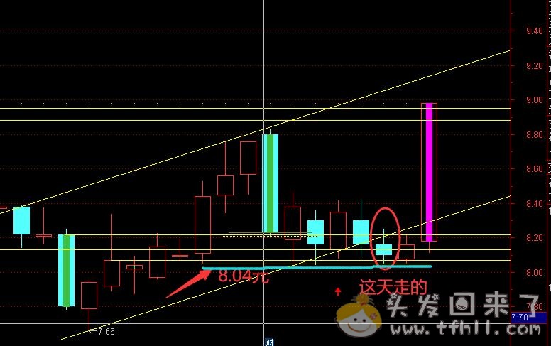 新手菜鸟炒股票的第二只涨停板——振华股份图片 No.1