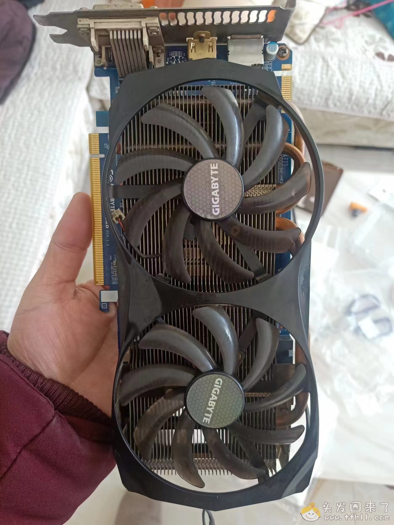 我的技嘉gtx660显卡是彻底挂掉了，回天乏术了图片 No.1