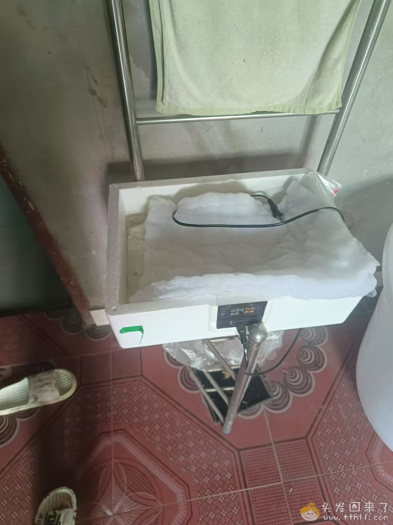 一个多月前20来块钱买了个孵化器，昨天就已经孵化结束了，成果如何？图片 No.3