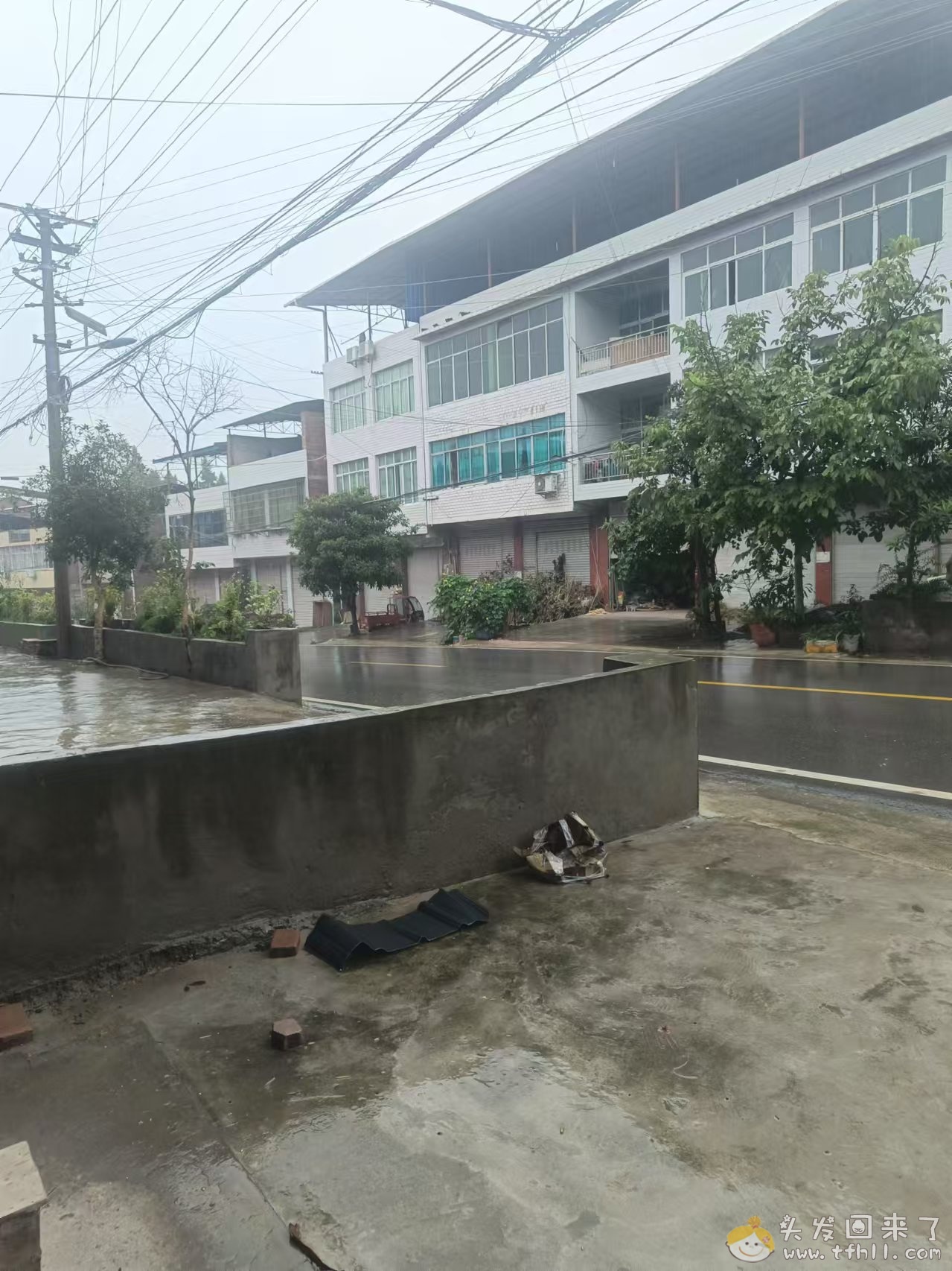 连着下了三四天雨了，干田里水都积了一田了，开始要穿外套了图片 No.2
