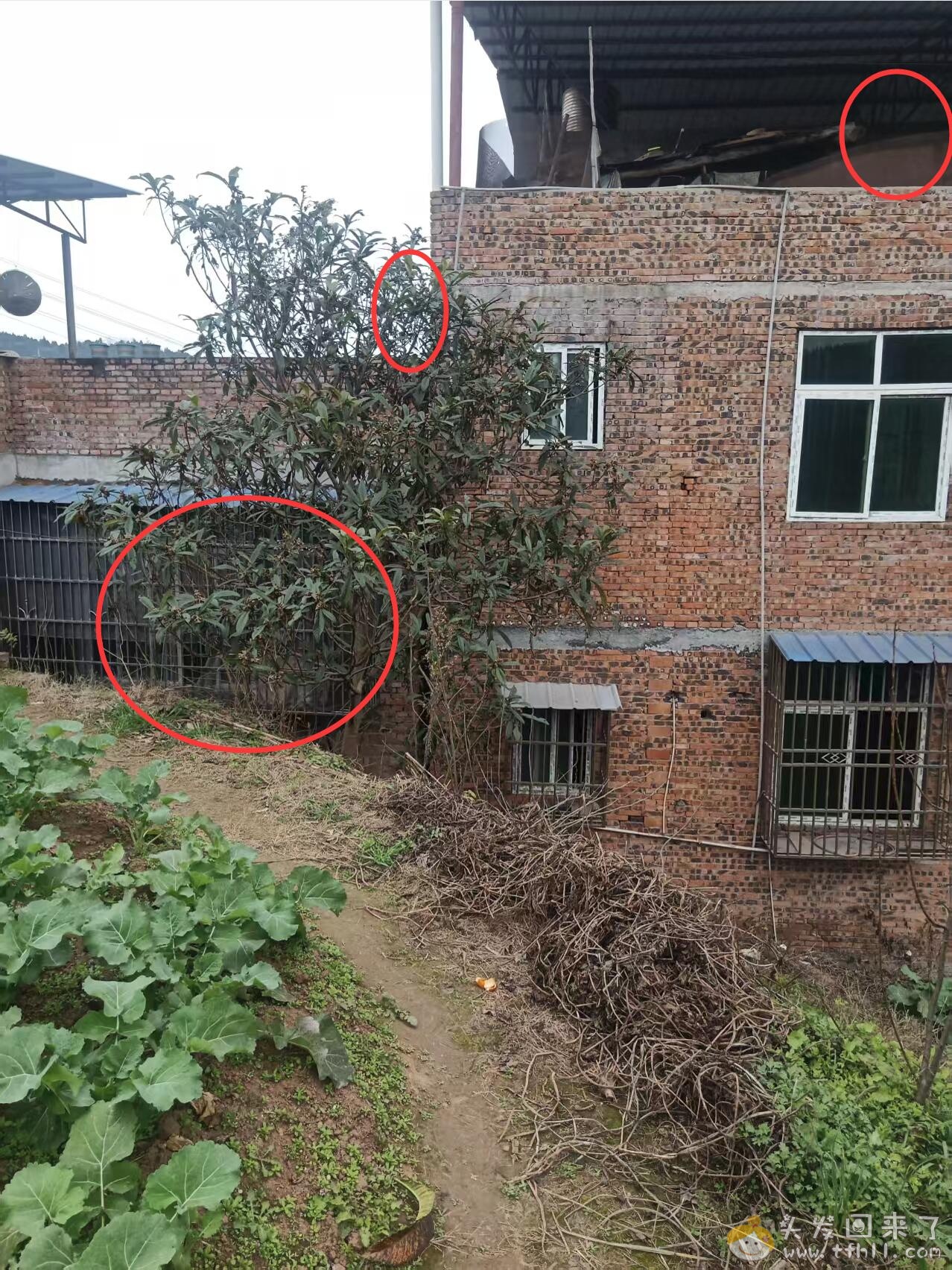 最害怕的一天！毫不夸张，说是肝胆俱裂也不为过图片 No.1